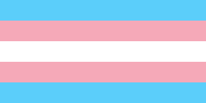 Transgender Pride Flag Source: Wikipedia