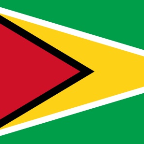 guyanaflag