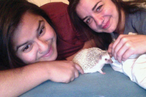Alyssa Ramirez (l) and Brittany Weinstein (r) pose with their daughter, Lilo the hedgehog. Lilo is a five-month-old cinnamon-colored hedgehog who loves to sass her mommies, eat turkey, and burrow into old sweatshirts.